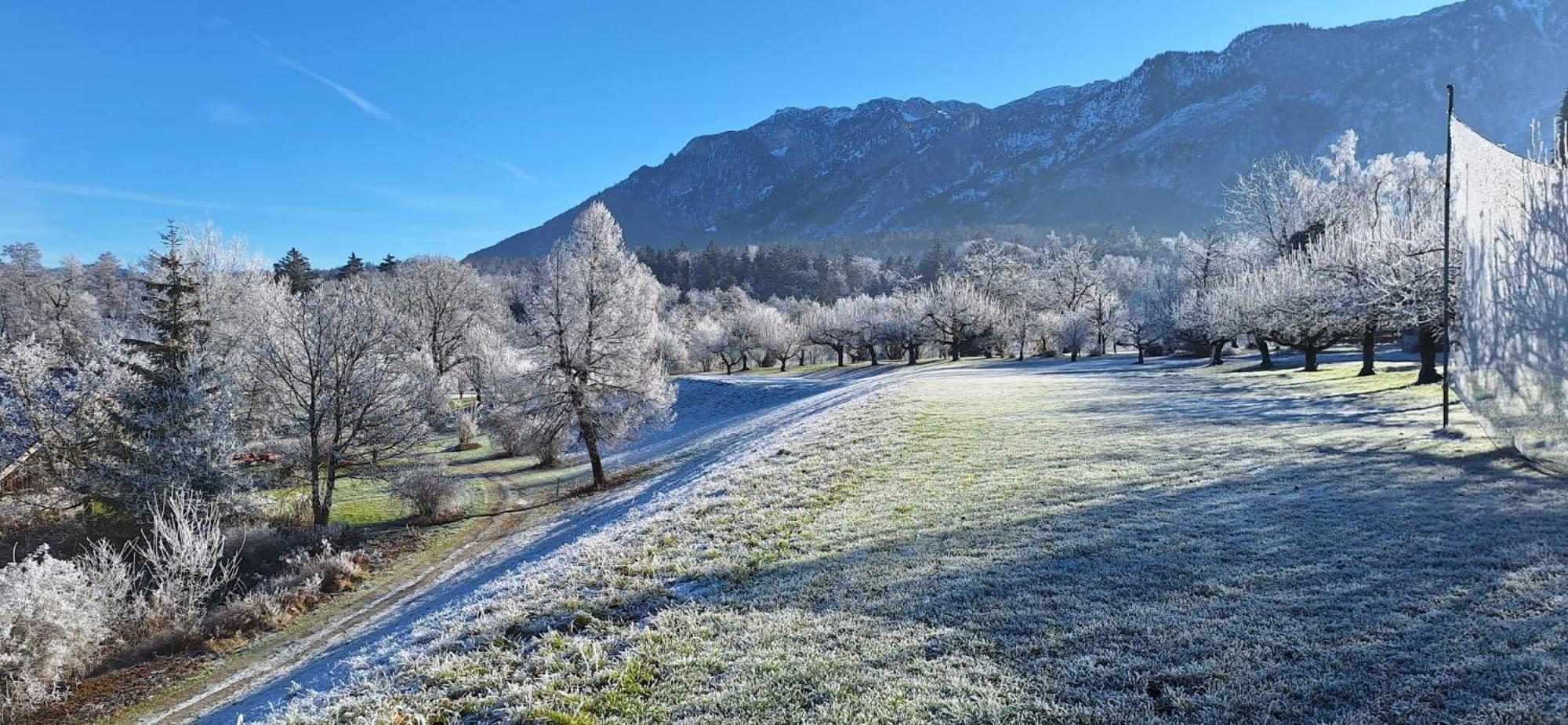 Schlossberghof Marzoll Bad Reichenhall Kültér fotó